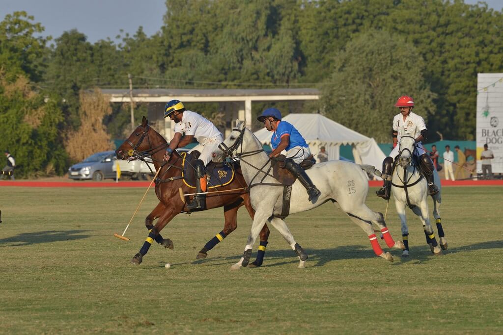 Players playing the Royal Game